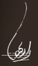 radha logo